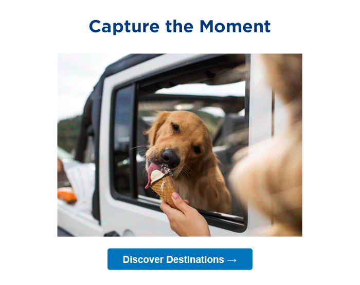 Save 15% or more when you book direct at bestwestern.com